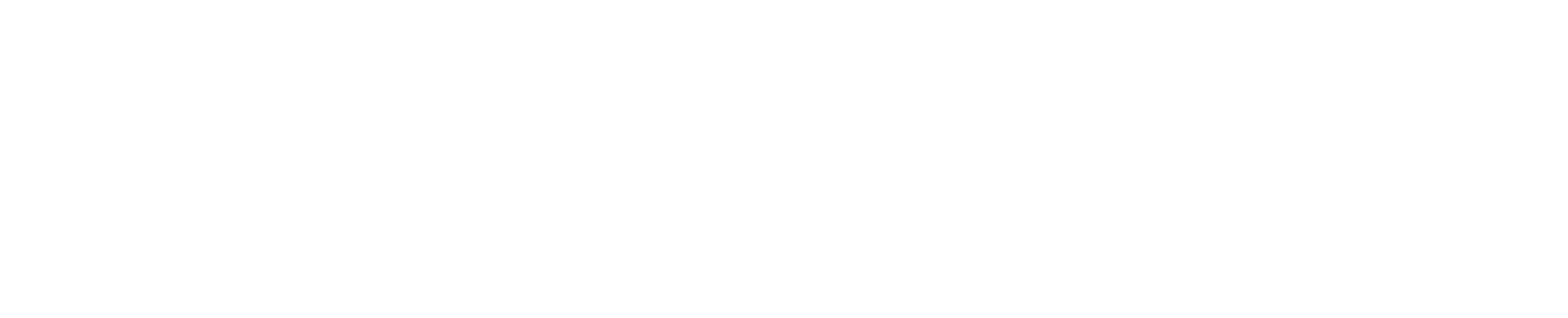 High Quality Swim Lessons